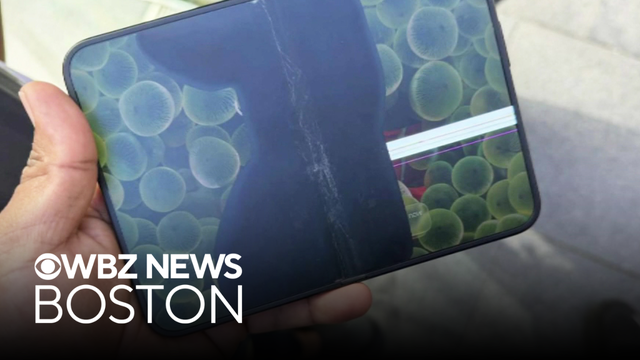 iPhone Duo users report cracked screens days after release