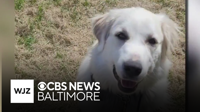 Howard County family's barking dog sparks ongoing legal battle