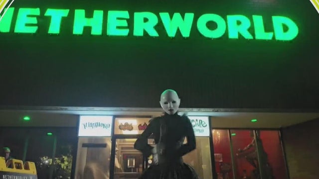 Netherworld visitors face spooky questions and Halloween scares