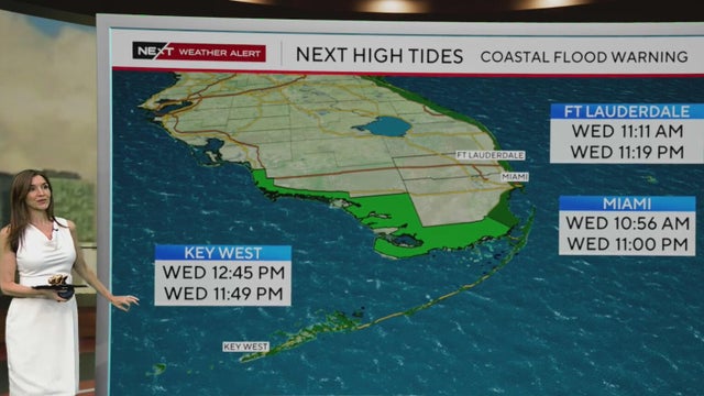 cbsmiami-high-tides-1.jpg 