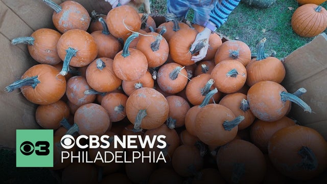 How this Delaware County church's pumpkin sale is helping families in need
