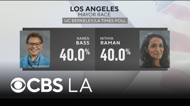 Raman, Bass tied heading into LA mayoral election, new poll shows