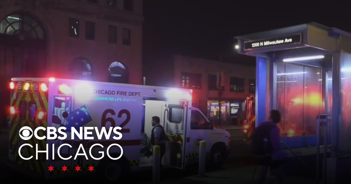 Man in custody after stabbing on CTA Blue Line platform in Wicker Park ...