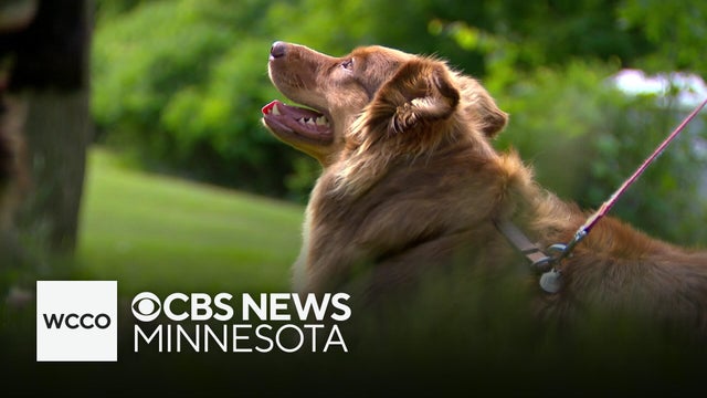 Minneapolis announces end date for Minnehaha Dog Park
