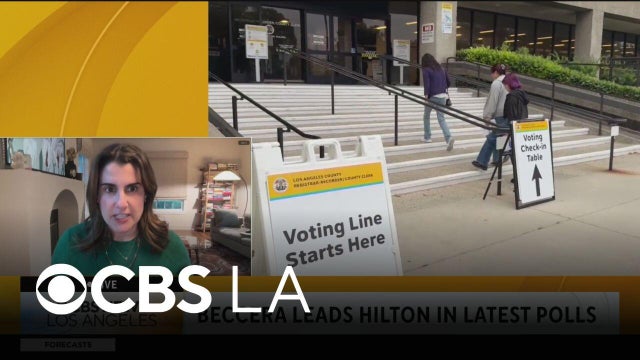 A look at the California governor&rsquo;s race with political expert