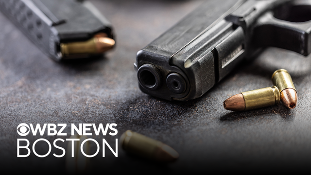 Massachusetts ballot Question 9: Keep or repeal enhanced gun laws