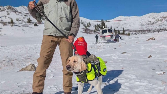 hiker-deaths-5pkg-frame-1482.jpg 