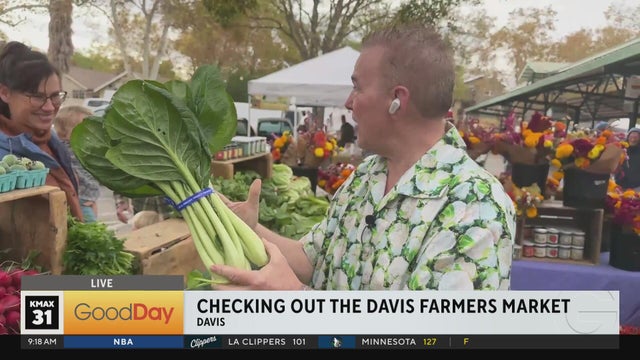 Davis Farmers Market 9am