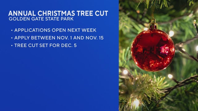 Applications for Colorado Christmas tree cutting open soon